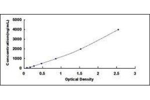 ELISA image for Clusterin (CLU) ELISA Kit (ABIN6574258)