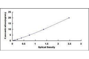 Protocadherin-15 (PCDH15) ELISA Kit