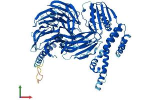 Protein Structure (PS) image for Bardet-Biedl Syndrome 7 (BBS7) (AA 1-715) protein (His tag) (ABIN7552607)