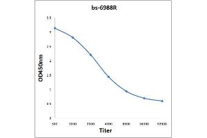 Antigen: 0. (Rubisco antibody)
