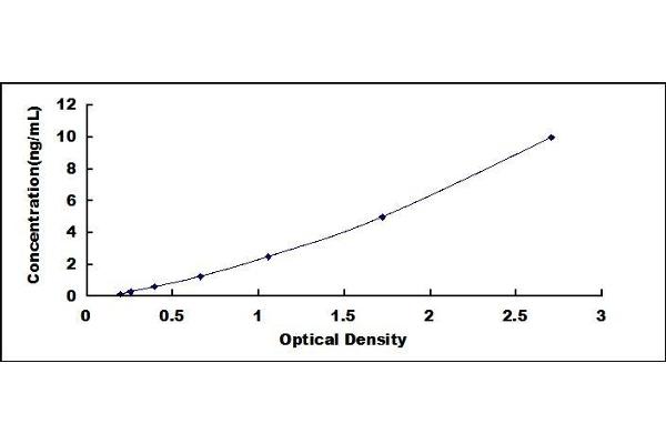 LSR ELISA Kit