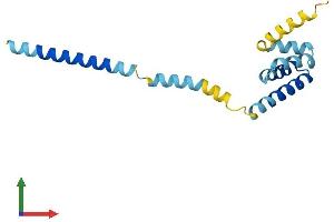 AlphaFold protein structure predicition of Human Recombinant TOMM20L Protein, UniprotID Q6UXN7
