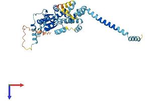TraB Domain Containing (TRABD) (AA 1-376) protein (His tag)