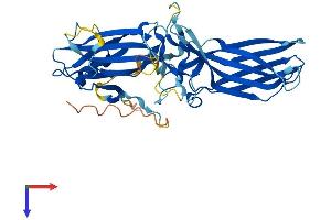 SAG Protein (AA 1-403) (His tag)