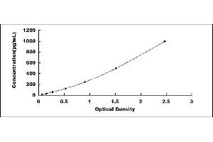 Typical standard curve (RNASE6 ELISA Kit)