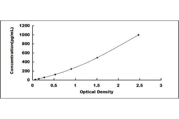 RNASE6 ELISA Kit