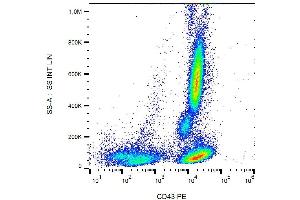Surface staining of human peripheral blood with anti-CD43 (MEM-59) PE. (CD43 antibody  (PE))