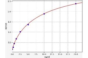 Typical standard curve (TLR6 ELISA Kit)