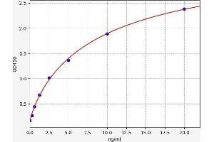 TLR6 ELISA Kit