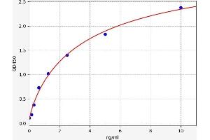 STX1A ELISA Kit