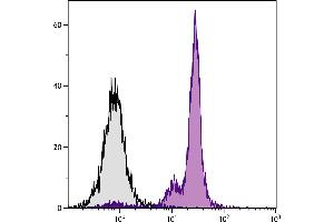 BALB/c mouse bone marrow cells were stained with Mouse Anti-Mouse CD45. (CD45.2 antibody  (Biotin))