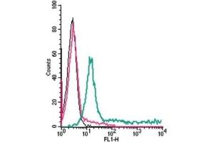 Cell surface detection of ADORA2A in live intact human Jurkat T-cell leukemia cells: (black line) Cells. (Adenosine A2a Receptor antibody  (2nd Extracellular Loop))