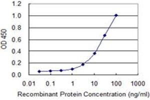 Detection limit for recombinant GST tagged IDH3G is 0. (IDH3G antibody  (AA 1-393))