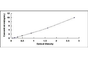 Typical standard curve (Calpain S1 ELISA Kit)