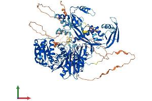 AlphaFold protein structure predicition of Mouse Recombinant Piwil2 Protein, UniprotID Q8CDG1 (PIWIL2 Protein (AA 1-971) (His tag))