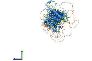AlphaFold protein structure predicition of Mouse Recombinant Ralgapb Protein, UniprotID Q8BQZ4 (RALGAPB Protein (AA 1-1484) (His tag))
