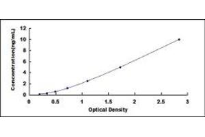Typical standard curve (IREB2 ELISA Kit)