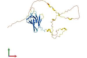AlphaFold protein structure predicition of Mouse Recombinant Tcf19 Protein, UniprotID Q99KJ5