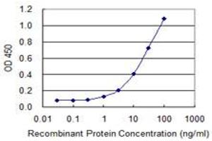 Detection limit for recombinant GST tagged CLDN14 is 0. (CLDN14 antibody  (AA 29-81))