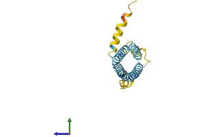 AlphaFold protein structure predicition of Mouse Recombinant Plp2 Protein, UniprotID Q9R1Q7 (PLP2 Protein (AA 1-152) (His tag))