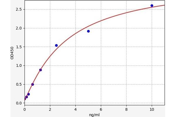 FTO ELISA Kit