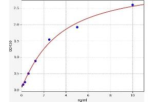 Typical standard curve (FTO ELISA Kit)