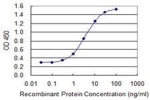 Detection limit for recombinant GST tagged MAGEB1 is 0. (MAGEB1 antibody  (AA 86-195))