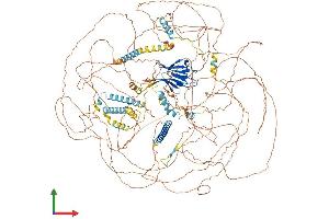 AlphaFold protein structure predicition of Human Recombinant CEP170B Protein, UniprotID Q9Y4F5 (KIAA0284 Protein (AA 1-1589) (His tag))