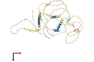 AlphaFold protein structure predicition of Human Recombinant SLAIN1 Protein, UniprotID Q8ND83 (SLAIN1 Protein (AA 1-568) (His tag))