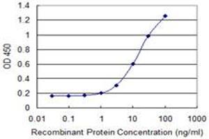 Detection limit for recombinant GST tagged SULT1C4 is 0. (SULT1C4 antibody  (AA 1-102))