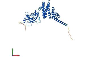 AlphaFold protein structure predicition of Human Recombinant FKBP6 Protein, UniprotID O75344 (FKBP6 Protein (AA 1-327) (His tag))