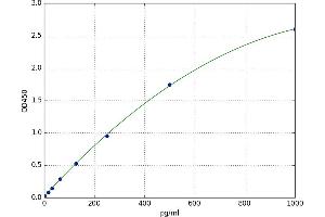 rho GTPase Activating Protein 21 (ARHGAP21) ELISA Kit