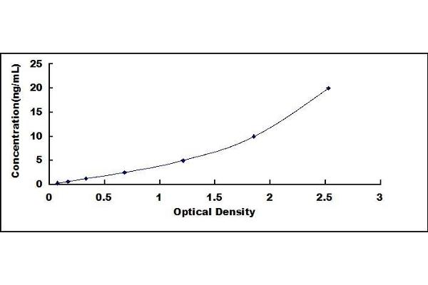 SMAD5 ELISA Kit