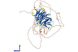 AlphaFold protein structure predicition of Human Recombinant DTL Protein, UniprotID Q9NZJ0