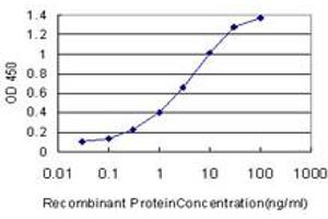 Detection limit for recombinant GST tagged FATE1 is approximately 0. (FATE1 antibody  (AA 2-100))