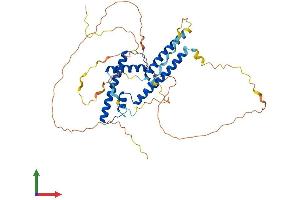 AlphaFold protein structure predicition of Human Recombinant SUPT7L Protein, UniprotID O94864