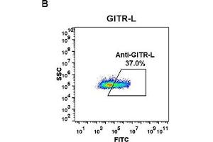 Flow cytometry data of serially titrated Rabbit anti-GITR-L monoclonal antibody (clone: DM53) on H929 cells. (Recombinant TNFRSF18 antibody  (AA 50-177))