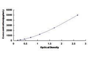 Trefoil Factor 1 (TFF1) ELISA Kit
