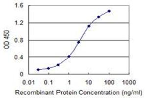 Detection limit for recombinant GST tagged LDB3 is 0. (LIM Domain Binding 3 Protein antibody  (AA 1-283))