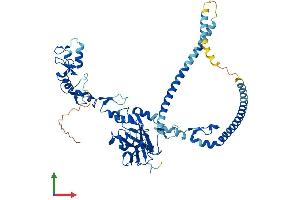Protein Structure (PS) image for TNF Receptor-Associated Factor 5 (TRAF5) (AA 1-557) protein (His tag) (ABIN7544674)