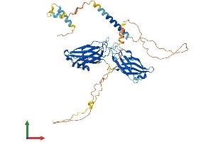 AlphaFold protein structure predicition of Mouse Recombinant Syt6 Protein, UniprotID Q9R0N8 (SYT6 Protein (AA 1-511) (His tag))