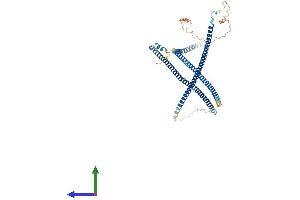 AlphaFold protein structure predicition of Mouse Recombinant Rabep2 Protein, UniprotID Q91WG2 (RABEP2 Protein (AA 1-554) (His tag))