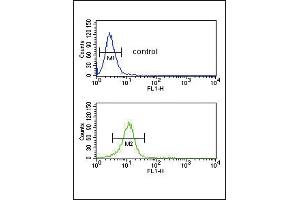 Flow Cytometry (FACS) image for anti-CD40 Ligand (CD40LG) (AA 33-62), (N-Term) antibody (ABIN390458)