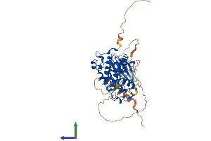 AlphaFold protein structure predicition of Human Recombinant CDK14 Protein, UniprotID O94921
