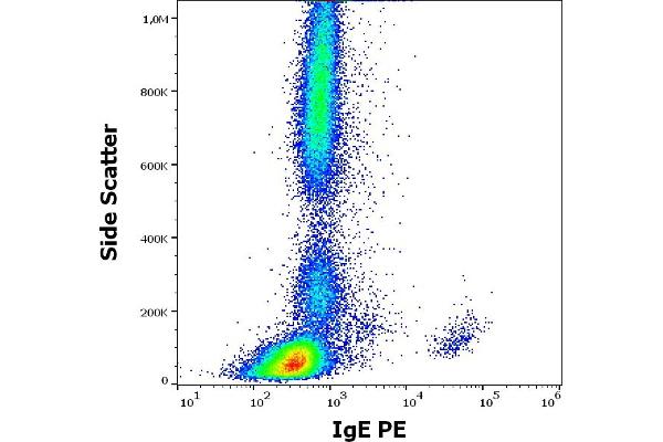 IgE antibody  (PE)
