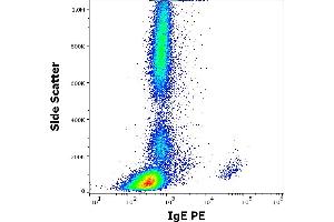 Flow cytometry surface staining pattern of human peripheral whole blood stained using anti-human IgE (4H10) PE antibody (concentration in sample 3 μg/mL). (IgE antibody  (PE))
