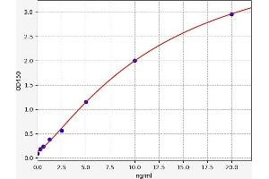 Typical standard curve (GNAO1 ELISA Kit)
