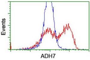 HEK293T cells transfected with either RC224304 overexpress plasmid (Red) or empty vector control plasmid (Blue) were immunostained by anti-ADH7 antibody (ABIN2455872), and then analyzed by flow cytometry. (ADH7 antibody)