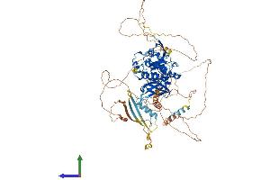 AlphaFold protein structure predicition of Mouse Recombinant Epb41l1 Protein, UniprotID Q9Z2H5
