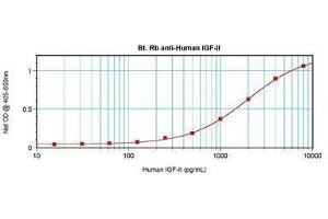Image no. 1 for anti-Insulin-Like Growth Factor 2 (IGF2) antibody (Biotin) (ABIN465042) (IGF2 antibody  (Biotin))
